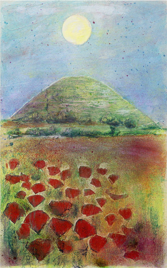 silvery hill wiltshire landscapes poppies summer pagan