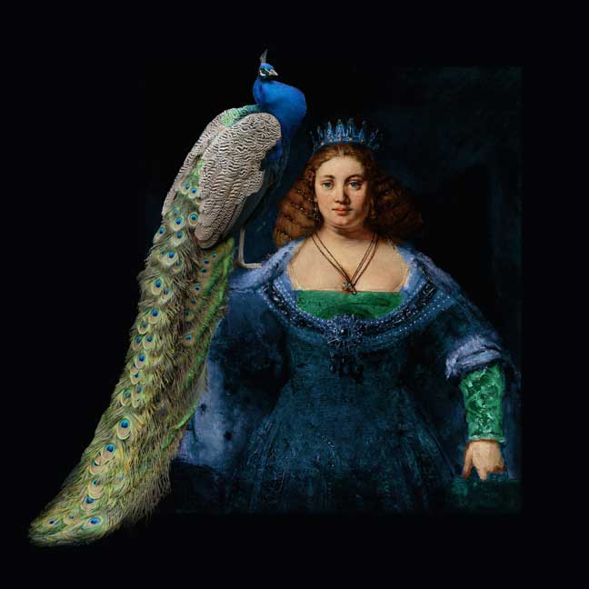 Juno peacock