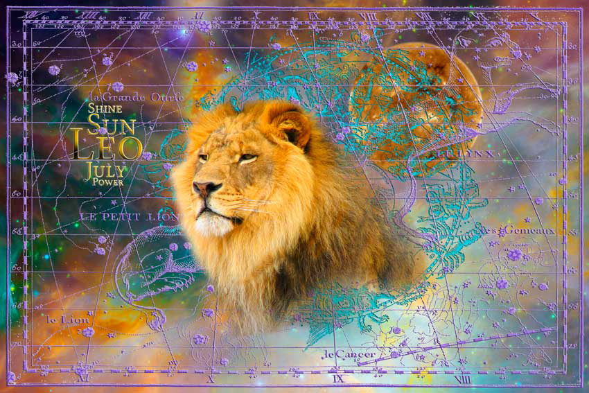 July, leo, sun, stars, lion, zodiac, illustration